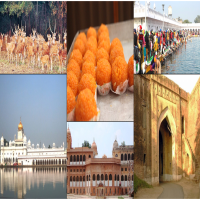 About Patiala Best places to visit in Patiala